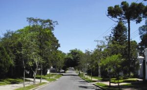 Desentupidora Jardim Social